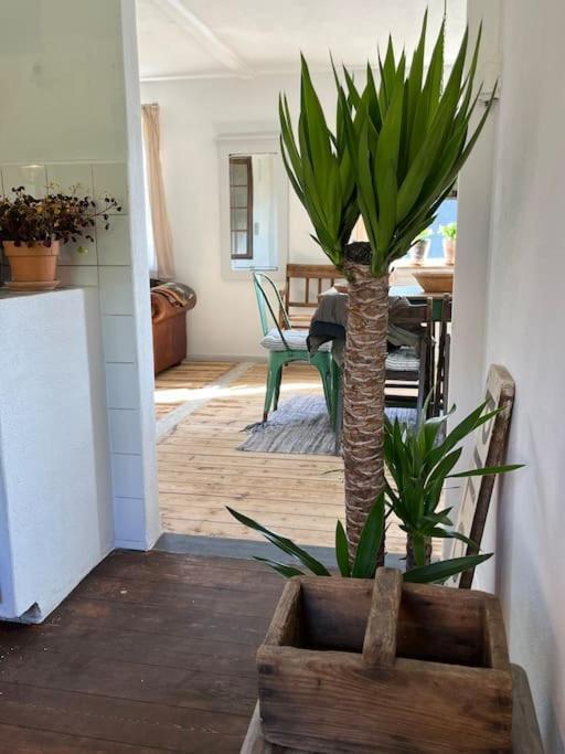 The Old Soap House - Stylish And Close To Beach Vang  외부 사진
